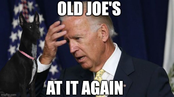 Joe Biden worries | OLD JOE'S; AT IT AGAIN | image tagged in joe biden worries | made w/ Imgflip meme maker