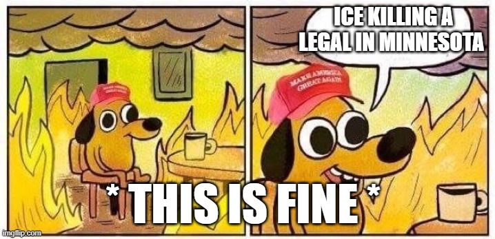 Maga finds excuses for EVERYTHING | ICE KILLING A LEGAL IN MINNESOTA; * THIS IS FINE * | image tagged in this is fine dog with maga hat | made w/ Imgflip meme maker