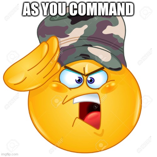 Yes sir | AS YOU COMMAND | image tagged in yes sir | made w/ Imgflip meme maker