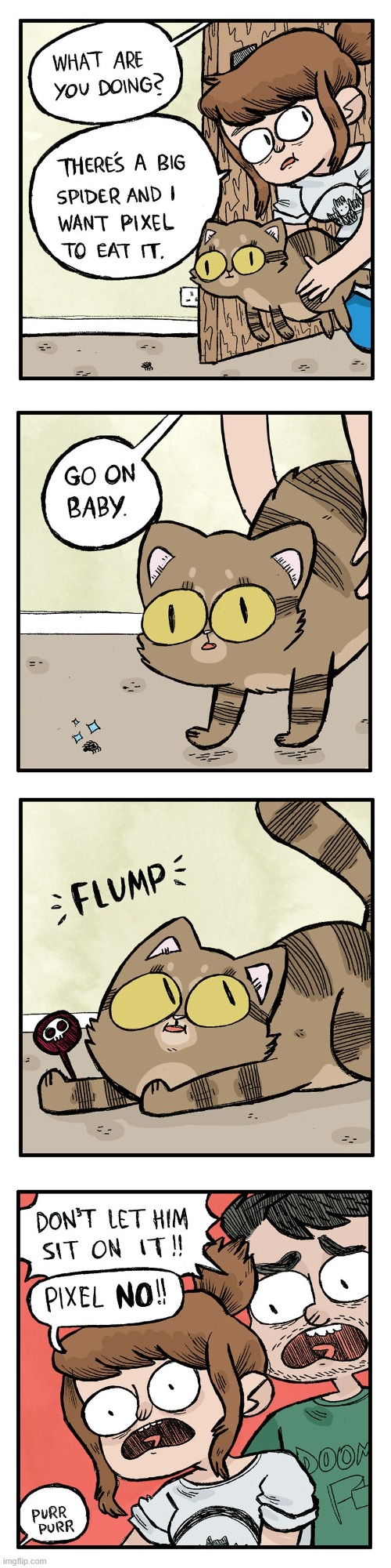 image tagged in cat,spider,sit,sitting,dead,yikes | made w/ Imgflip meme maker