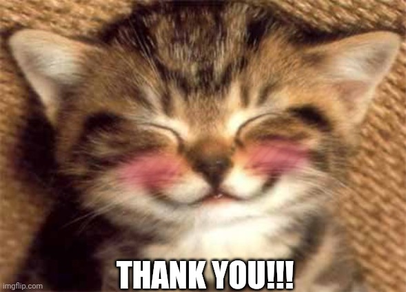 Thank you | THANK YOU!!! | image tagged in thank you | made w/ Imgflip meme maker