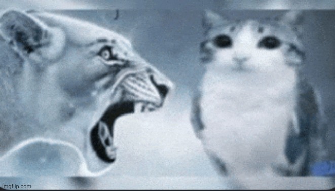 Rage Bait | image tagged in memes,rage | made w/ Imgflip meme maker