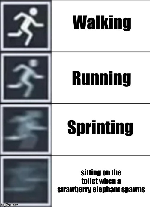gotta go fast | sitting on the toilet when a strawberry elephant spawns | image tagged in very fast | made w/ Imgflip meme maker