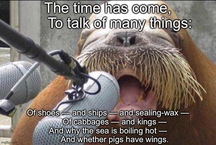 The Time Has Come | The time has come,
      To talk of many things:; Of shoes — and ships — and sealing-wax —
      Of cabbages — and kings —
And why the sea is boiling hot —
      And whether pigs have wings. | image tagged in walrus at microphone,walrus,time,why | made w/ Imgflip meme maker