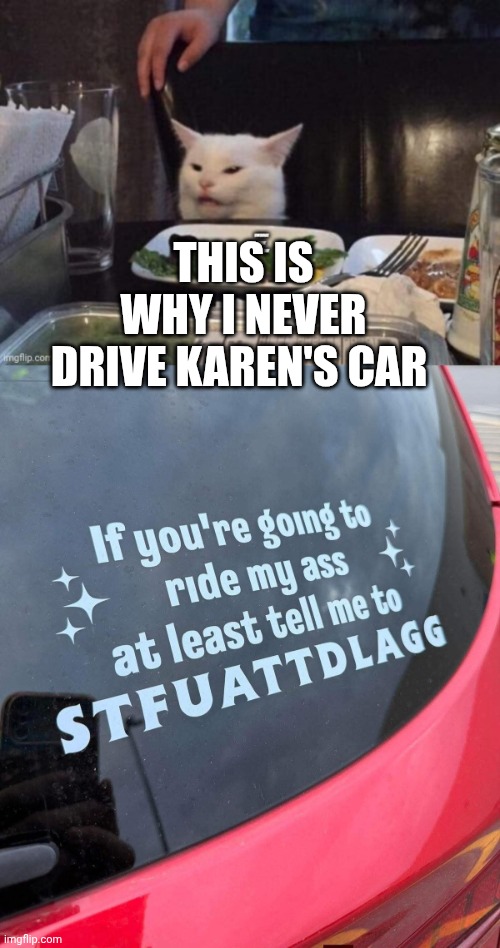 THIS IS WHY I NEVER DRIVE KAREN'S CAR | image tagged in smudge that darn cat | made w/ Imgflip meme maker