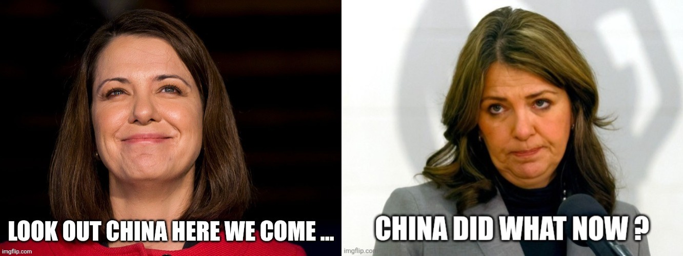 Canadian politics | image tagged in political meme | made w/ Imgflip meme maker