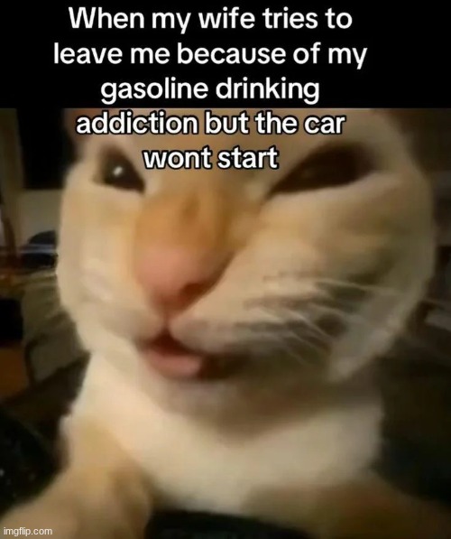 Anyways I have semester testing tomorrow so I'll probably get to bed already, good night | made w/ Imgflip meme maker