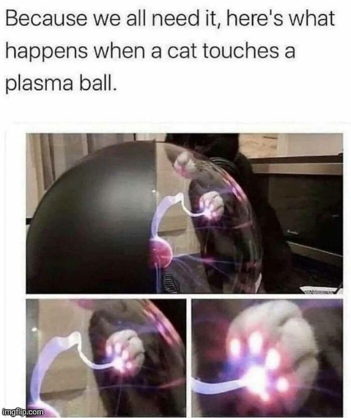 Because we all need it, here's what happens when a cat touches a plasma ball. | image tagged in memes,cats | made w/ Imgflip meme maker