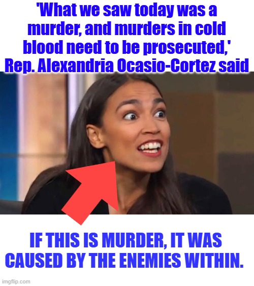 Enemy within | 'What we saw today was a murder, and murders in cold blood need to be prosecuted,' Rep. Alexandria Ocasio-Cortez said; IF THIS IS MURDER, IT WAS CAUSED BY THE ENEMIES WITHIN. | image tagged in crazy aoc | made w/ Imgflip meme maker
