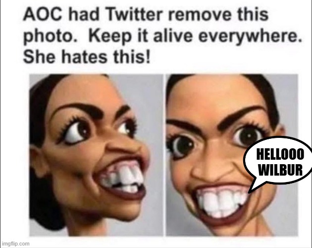 HELLOOO WILBUR | made w/ Imgflip meme maker