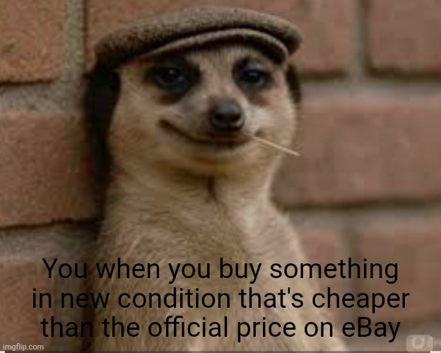 I needed a title | You when you buy something in new condition that's cheaper than the official price on eBay | image tagged in meerkat,dank,shopping,online shopping,bad luck,good luck | made w/ Imgflip meme maker