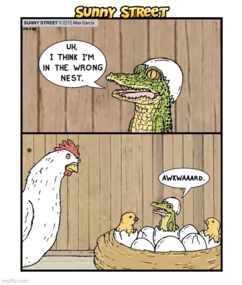 image tagged in comics,sunny street,eggs,chickens,alligator,wrong nest | made w/ Imgflip meme maker