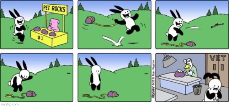 Buni Comics | image tagged in comics,buni comics,pet rock,sick,doctor,dead | made w/ Imgflip meme maker