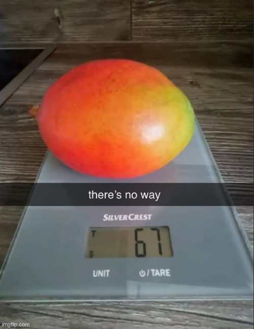 image tagged in 67,mango | made w/ Imgflip meme maker