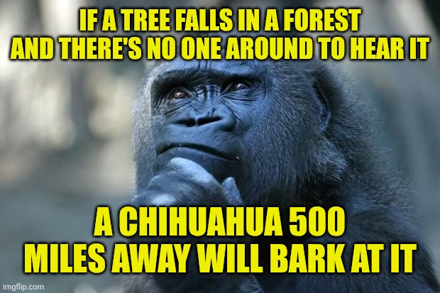 Deep Thoughts | IF A TREE FALLS IN A FOREST AND THERE'S NO ONE AROUND TO HEAR IT; A CHIHUAHUA 500 MILES AWAY WILL BARK AT IT | image tagged in deep thoughts | made w/ Imgflip meme maker