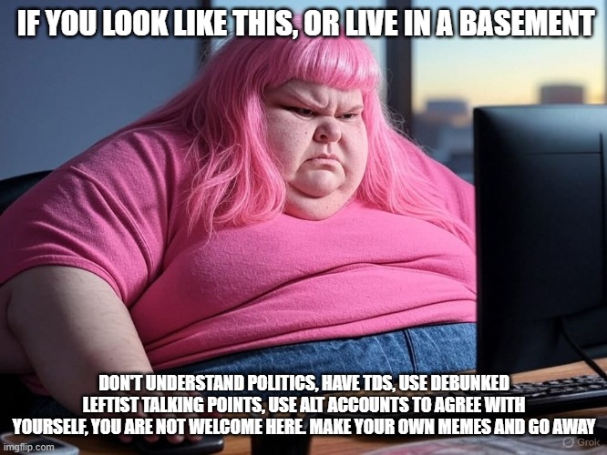 Someone had to say it | IF YOU LOOK LIKE THIS, OR LIVE IN A BASEMENT; DON'T UNDERSTAND POLITICS, HAVE TDS, USE DEBUNKED LEFTIST TALKING POINTS, USE ALT ACCOUNTS TO AGREE WITH YOURSELF, YOU ARE NOT WELCOME HERE. MAKE YOUR OWN MEMES AND GO AWAY | image tagged in basement liberal angst,someone had to say it,basement dweller,typical leftist,tds,democrat war on america | made w/ Imgflip meme maker