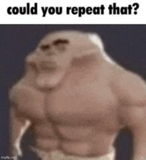 Could you repeat that? | image tagged in could you repeat that | made w/ Imgflip meme maker
