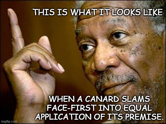This Morgan Freeman | THIS IS WHAT IT LOOKS LIKE WHEN A CANARD SLAMS FACE-FIRST INTO EQUAL APPLICATION OF ITS PREMISE. | image tagged in this morgan freeman | made w/ Imgflip meme maker