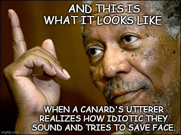 This Morgan Freeman | AND THIS IS WHAT IT LOOKS LIKE WHEN A CANARD'S UTTERER REALIZES HOW IDIOTIC THEY SOUND AND TRIES TO SAVE FACE. | image tagged in this morgan freeman | made w/ Imgflip meme maker
