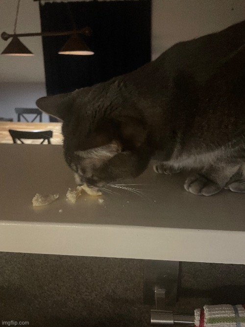 I guess he eatin’ bread now. | made w/ Imgflip meme maker