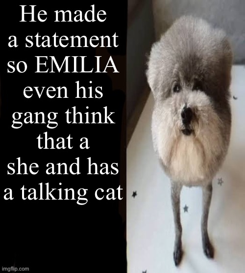It re; zero related so it an anime | He made a statement so EMILIA even his gang think that a she and has a talking cat | image tagged in he made a statement blank,re zero | made w/ Imgflip meme maker
