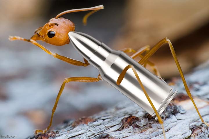 somethings wrong with this ant dawg | made w/ Imgflip meme maker
