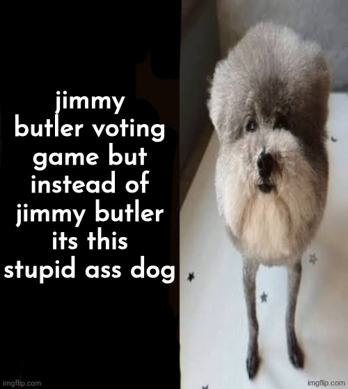 suggest statement reaction images in the comments | jimmy butler voting game but instead of jimmy butler its this stupid ass dog | image tagged in he made a statement blank | made w/ Imgflip meme maker