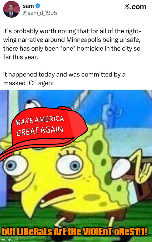 bUt LiBeRaLs ArE tHe ViOlEnT oNeS1!1! | image tagged in triggerpaul | made w/ Imgflip meme maker