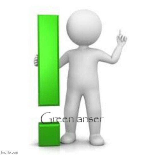 Green anser | image tagged in green anser | made w/ Imgflip meme maker