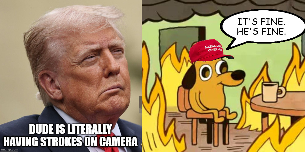 IT'S FINE. HE'S FINE. DUDE IS LITERALLY HAVING STROKES ON CAMERA | image tagged in trump stroke 25th amendment,its fine | made w/ Imgflip meme maker