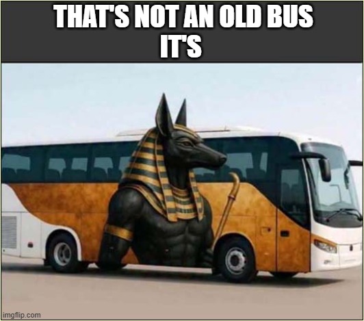 One For All You Egyptologist Out There ... | THAT'S NOT AN OLD BUS
IT'S | image tagged in bus,egypt,gods,play on words | made w/ Imgflip meme maker