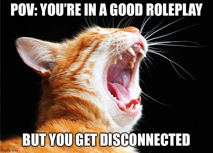 SO FREAKING TRUE!!! | POV: YOU’RE IN A GOOD ROLEPLAY; BUT YOU GET DISCONNECTED | image tagged in cat,online gaming | made w/ Imgflip meme maker