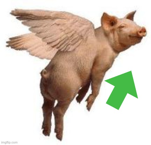 image tagged in flying pig | made w/ Imgflip meme maker