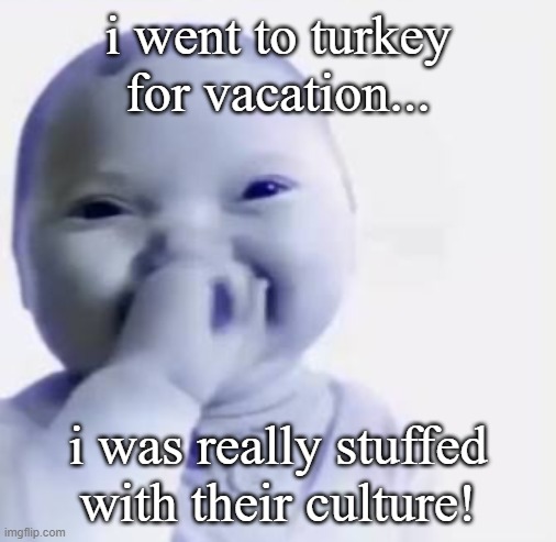 Ai baby | i went to turkey for vacation... i was really stuffed with their culture! | image tagged in ai baby | made w/ Imgflip meme maker