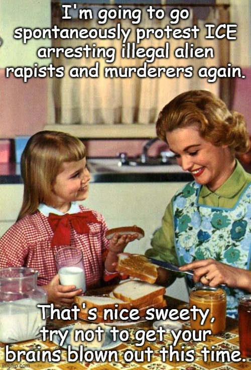 Anti-ICE recruits are trained to box in and ambush ICE operations. Renee Good is only the beginning of things getting worse. | I'm going to go spontaneously protest ICE arresting illegal alien rapists and murderers again. That's nice sweety, try not to get your brains blown out this time. | image tagged in vintage mom and daughter | made w/ Imgflip meme maker