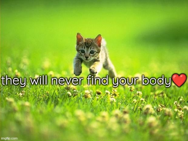 Every time I smile God Kills a Kitten | they will never find your body❤ | image tagged in every time i smile god kills a kitten | made w/ Imgflip meme maker