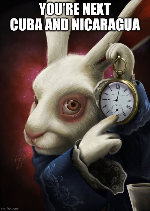 White Rabbit Pointing at a Clock | YOU’RE NEXT CUBA AND NICARAGUA | image tagged in white rabbit pointing at a clock | made w/ Imgflip meme maker