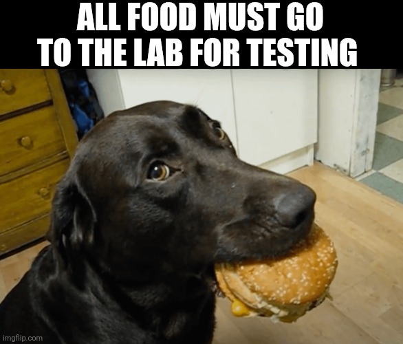 All Food Must Go To The Lab For Testing | ALL FOOD MUST GO TO THE LAB FOR TESTING | image tagged in chrisjoines1 | made w/ Imgflip meme maker