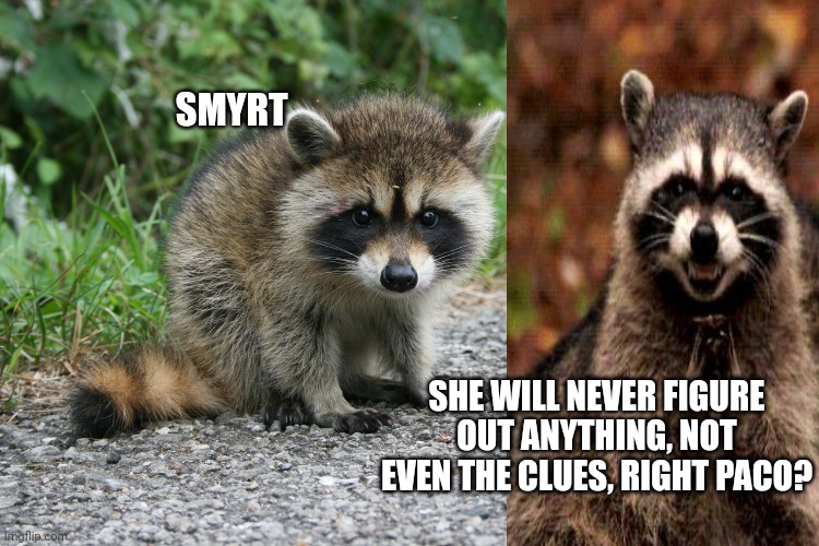raccoon baby | SMYRT SHE WILL NEVER FIGURE OUT ANYTHING, NOT EVEN THE CLUES, RIGHT PACO? | image tagged in raccoon baby | made w/ Imgflip meme maker