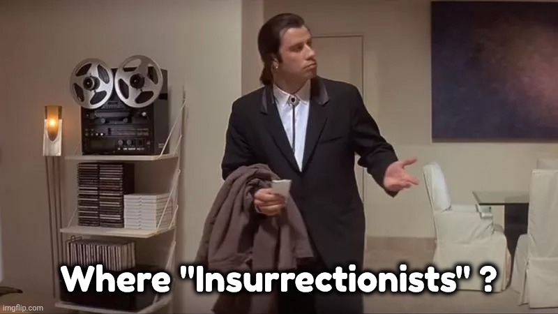 Confused man | Where "Insurrectionists" ? | image tagged in confused man | made w/ Imgflip meme maker