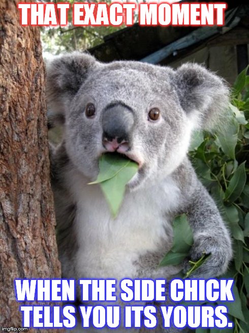 Surprised Koala Meme | THAT EXACT MOMENT  WHEN THE SIDE CHICK TELLS YOU ITS YOURS. | image tagged in memes,surprised koala | made w/ Imgflip meme maker