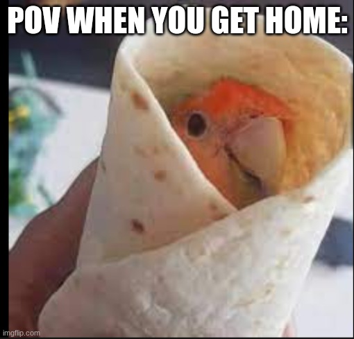 I see the void and it says el dorado | POV WHEN YOU GET HOME: | image tagged in wtf man,road to el dorado,bare bottom spanking | made w/ Imgflip meme maker