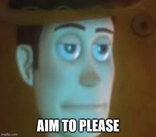 disappointed woody | AIM TO PLEASE | image tagged in disappointed woody | made w/ Imgflip meme maker