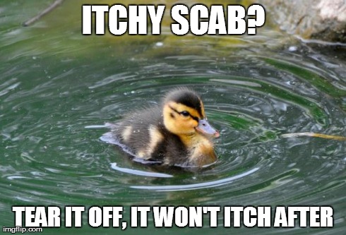 ITCHY SCAB? TEAR IT OFF, IT WON'T ITCH AFTER | image tagged in child advice mallard | made w/ Imgflip meme maker