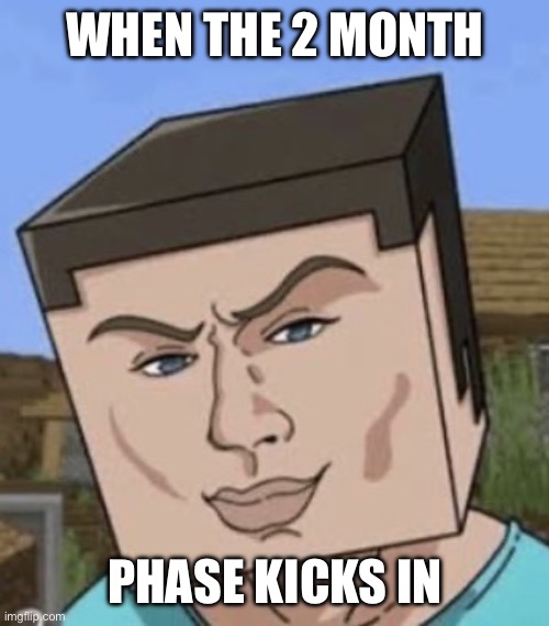 Steve | WHEN THE 2 MONTH; PHASE KICKS IN | image tagged in steve | made w/ Imgflip meme maker
