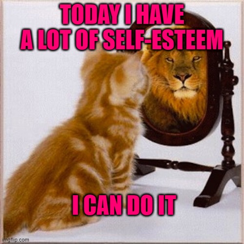 HURRY, BEFORE THE SELF-ESTEEM DISAPPEAR | TODAY I HAVE A LOT OF SELF-ESTEEM; I CAN DO IT | image tagged in cat mirror lion | made w/ Imgflip meme maker