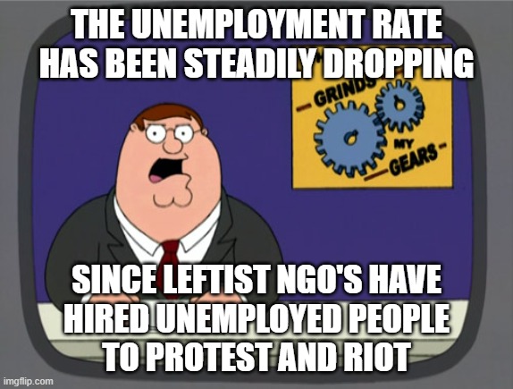 Peter Griffin News | THE UNEMPLOYMENT RATE HAS BEEN STEADILY DROPPING; SINCE LEFTIST NGO'S HAVE
 HIRED UNEMPLOYED PEOPLE 
TO PROTEST AND RIOT | image tagged in memes,peter griffin news | made w/ Imgflip meme maker