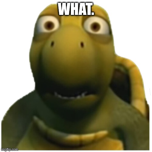WHAT. | image tagged in augh turtle | made w/ Imgflip meme maker