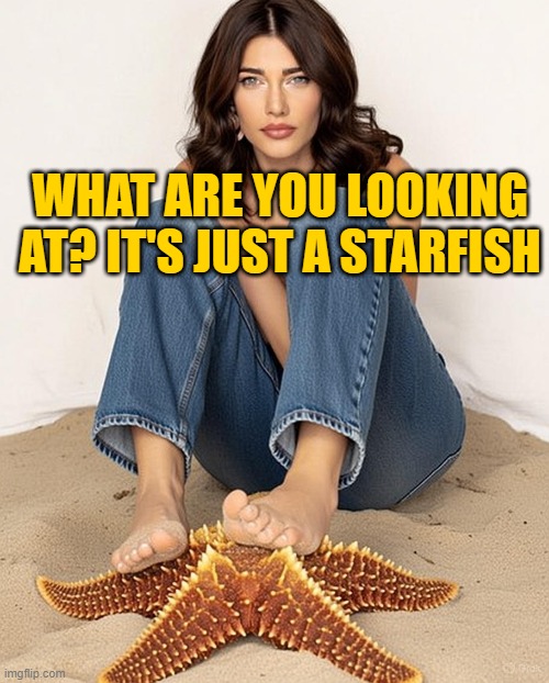 Steffy forrester with a starfish | WHAT ARE YOU LOOKING AT? IT'S JUST A STARFISH | made w/ Imgflip meme maker