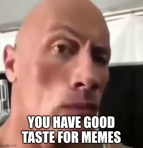 The Rock Eyebrows | YOU HAVE GOOD TASTE FOR MEMES | image tagged in the rock eyebrows | made w/ Imgflip meme maker